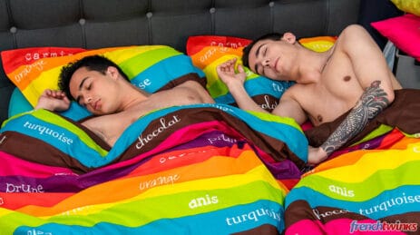 French Twinks gay porn