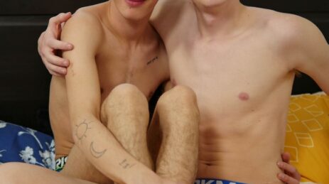 Gay twink porn