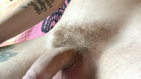 Hairy uncut penis