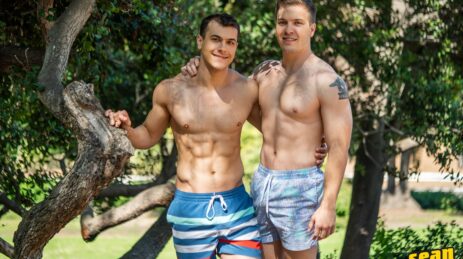 Sean Cody gay studs fucking